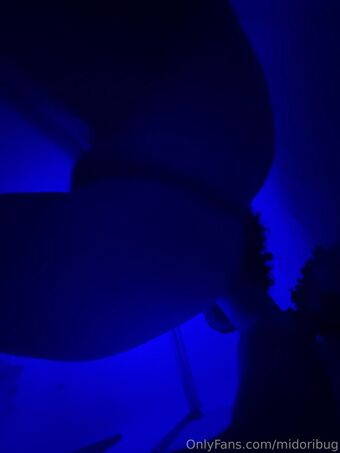 Midoribug