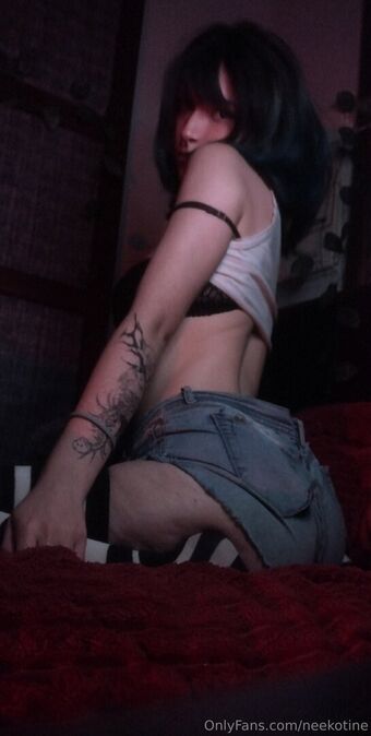 neekotine Fotografii Nud Scurse OnlyFans 14
