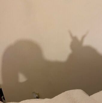 nelgenis Fotografii Nud Scurse OnlyFans 7
