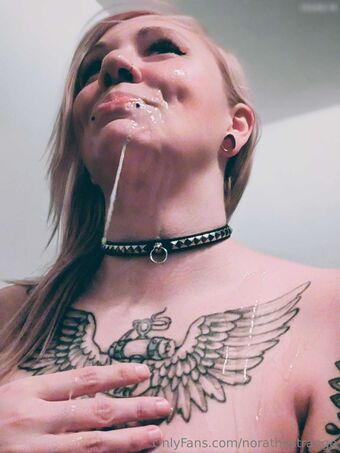 norathestrange Fotografii Nud Scurse OnlyFans 26