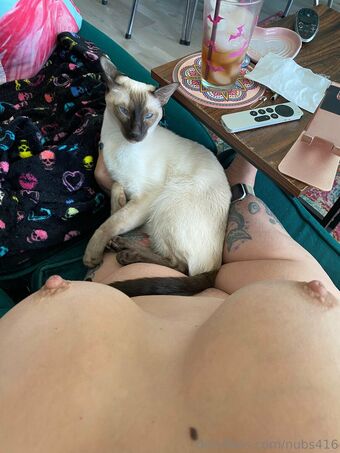 nubs416 Fotografii Nud Scurse OnlyFans 13