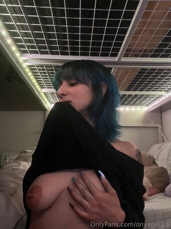 onyxpix2.0
