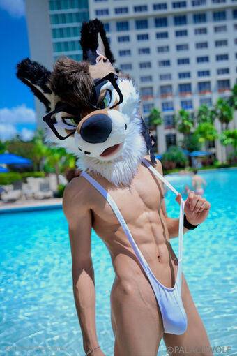 palacewolf Fotografii Nud Scurse OnlyFans 39