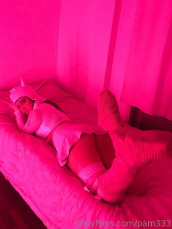 pam333 Fotografii Nud Scurse OnlyFans 16
