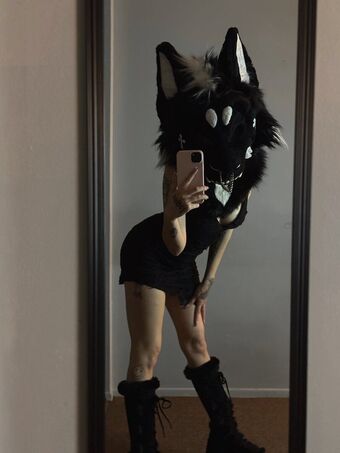 pawsheisty Fotografii Nud Scurse OnlyFans 4