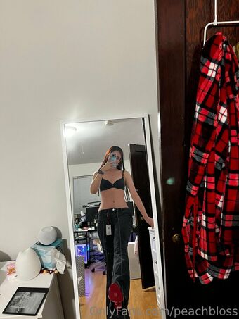 peachbloss Fotografii Nud Scurse OnlyFans 37