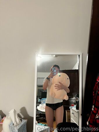 peachbloss Fotografii Nud Scurse OnlyFans 44