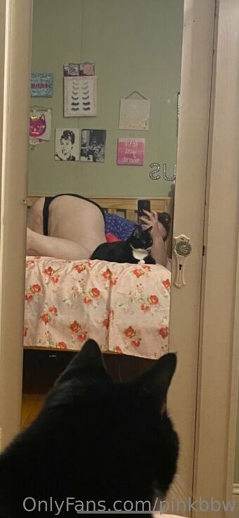 pinkbbw Fotografii Nud Scurse OnlyFans 1