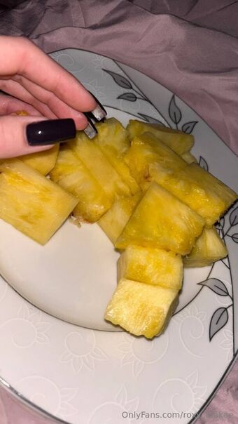 roxy_blakee Fotografii Nud Scurse OnlyFans 8