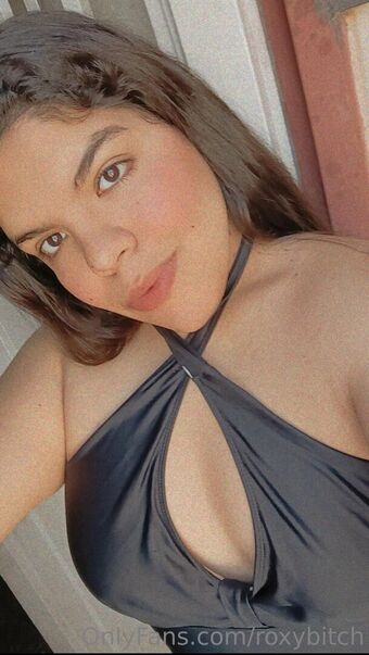roxybitch Fotografii Nud Scurse OnlyFans 3