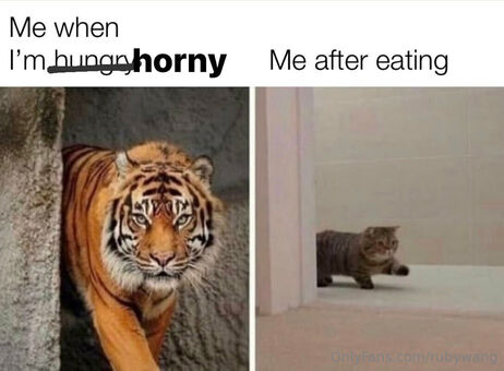 rubywang Fotografii Nud Scurse OnlyFans 10