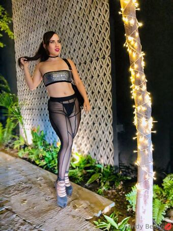 sandybeiby Fotografii Nud Scurse OnlyFans 18
