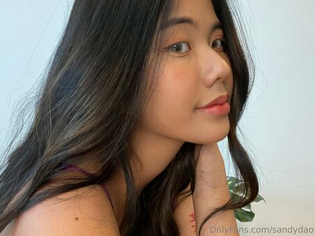 sandydao