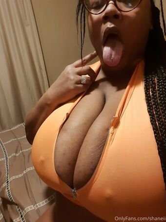 shaneii Fotografii Nud Scurse OnlyFans 29