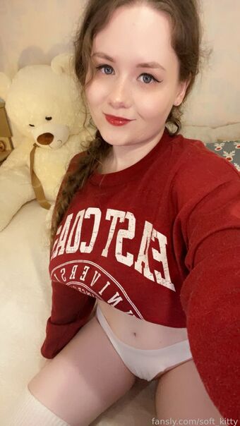 soft_kitty Fotografii Nud Scurse OnlyFans 20