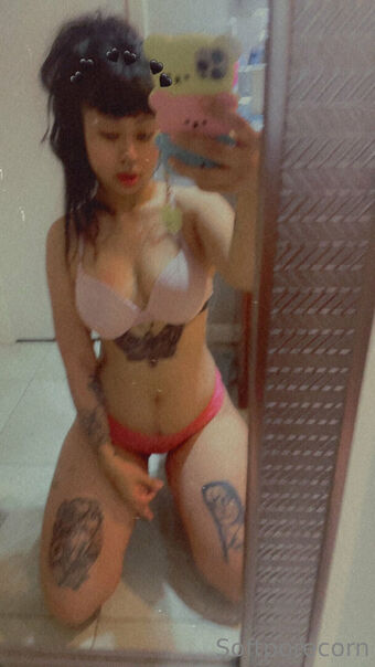 Softporecorn Fotografii Nud Scurse OnlyFans 29