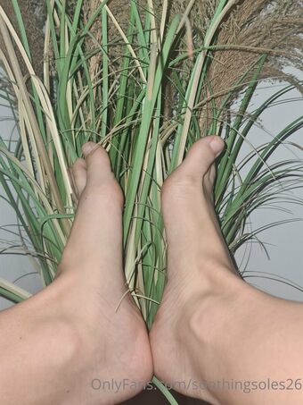 soothingsoles26