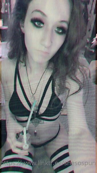 spunbunny