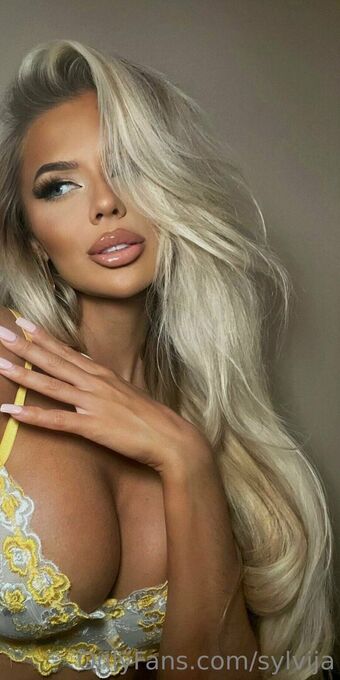 Sylvijaa Fotografii Nud Scurse OnlyFans 30
