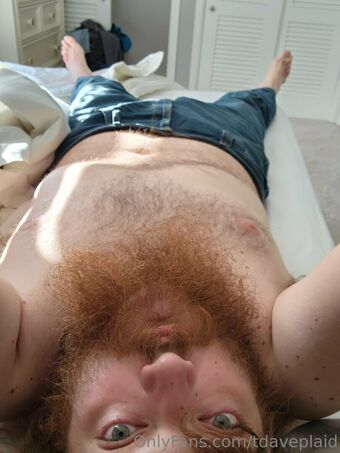 tdaveplaid
