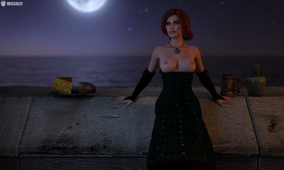The-witcher