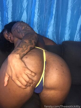 Theexotickitty Fotografii Nud Scurse OnlyFans 2
