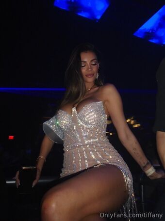 tiffany Fotografii Nud Scurse OnlyFans 75