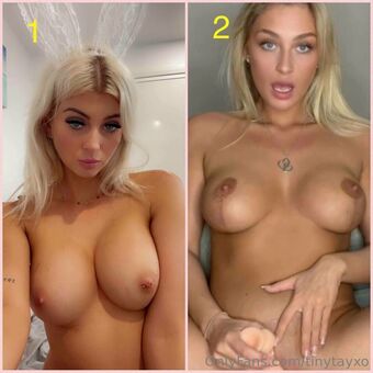 tinytayxo Fotografii Nud Scurse OnlyFans 41