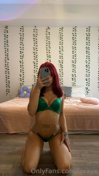 Torayx Fotografii Nud Scurse OnlyFans 38