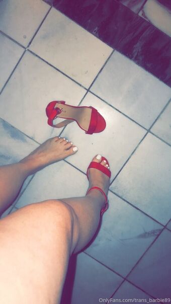 trans_barbie89
