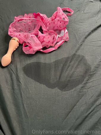 valentinemae Fotografii Nud Scurse OnlyFans 8