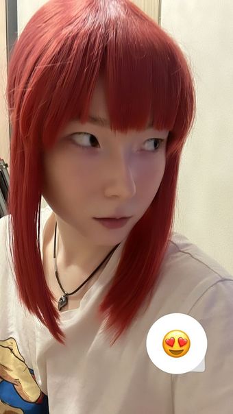 visagefox
