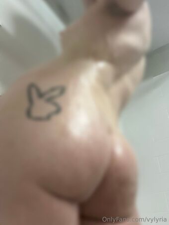 vylyria Fotografii Nud Scurse OnlyFans 22