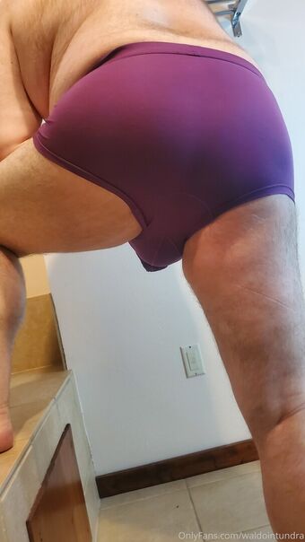 waldointundra Fotografii Nud Scurse OnlyFans 31