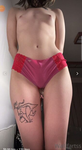 Wallfartss Fotografii Nud Scurse OnlyFans 49