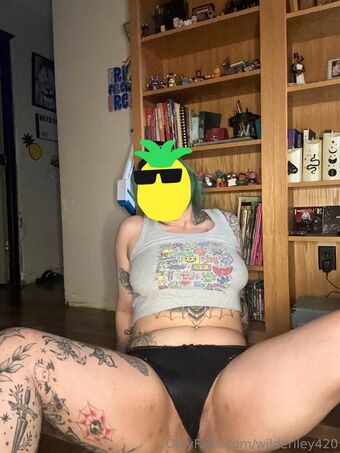 wilderiley420 Fotografii Nud Scurse OnlyFans 31