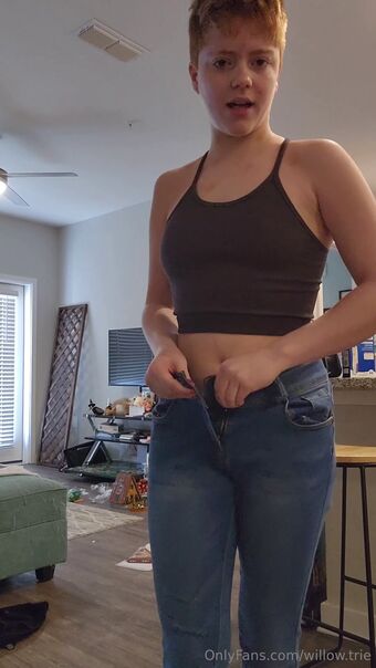 Willow Trie