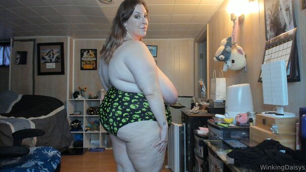 winkingdaisys Fotografii Nud Scurse OnlyFans 112